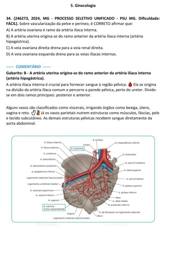 eBook gratuito com questões comentadas para o ENAMED - Imagem 2