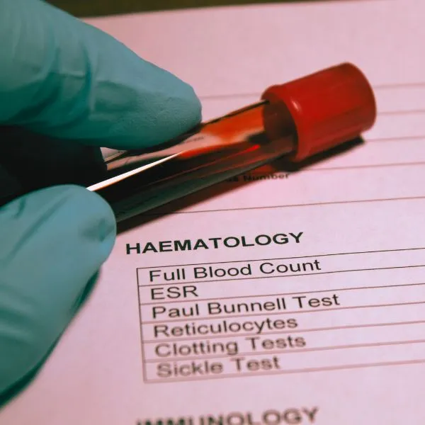 Hematologia