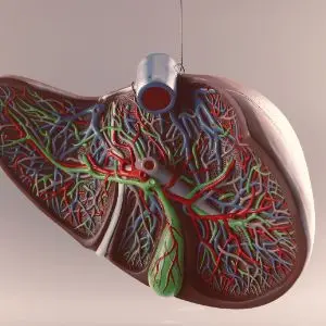 Hepatologia