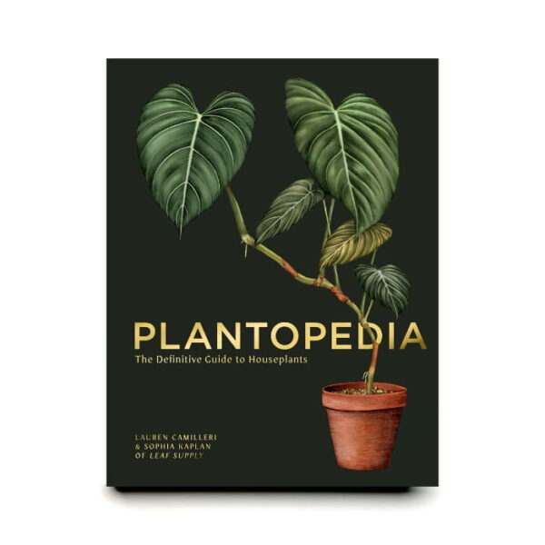Plantopedia The Definitive Guide to Houseplants